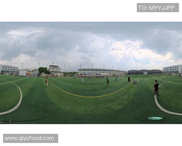 国家足球的崛起与发展探讨：从青训体系到国际赛事的全景分析