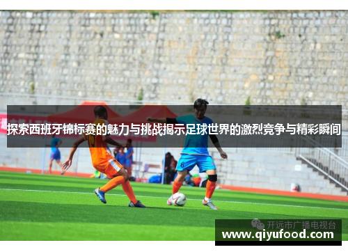 探索西班牙锦标赛的魅力与挑战揭示足球世界的激烈竞争与精彩瞬间
