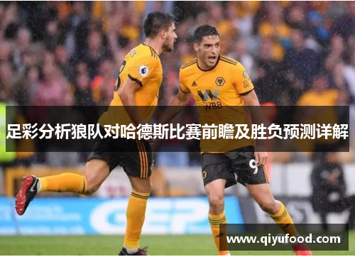 足彩分析狼队对哈德斯比赛前瞻及胜负预测详解